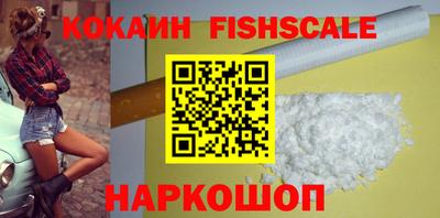 спиды Гай