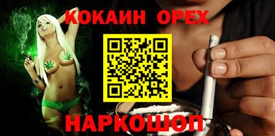 спиды Гай