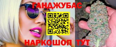 спиды Гай