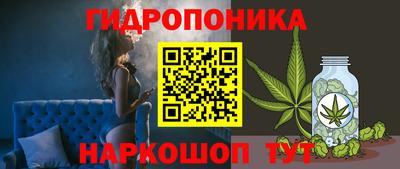спиды Гай