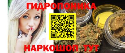 хмурый Гатчина