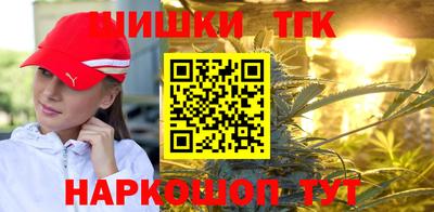 спиды Гай