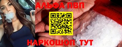 спиды Гай