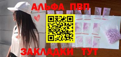 спиды Гай