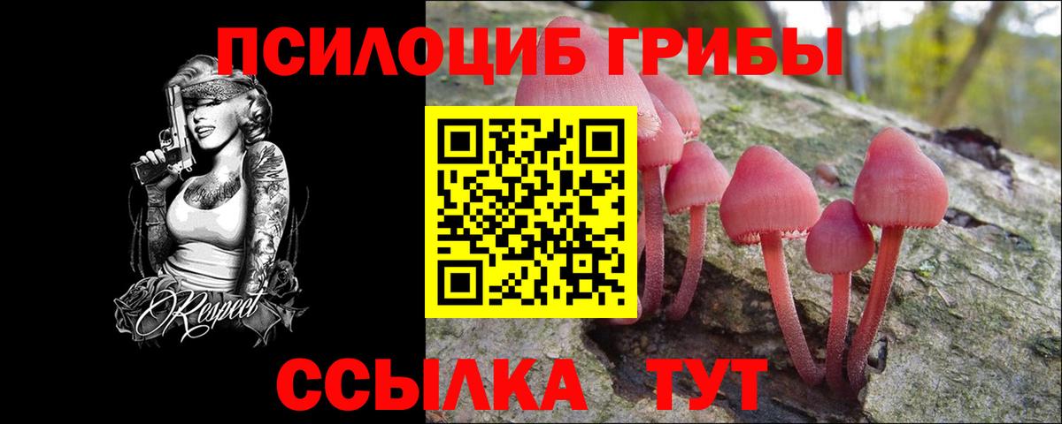 Псилоцибиновые грибы Magic Shrooms  Вход с VPN  Назрань 